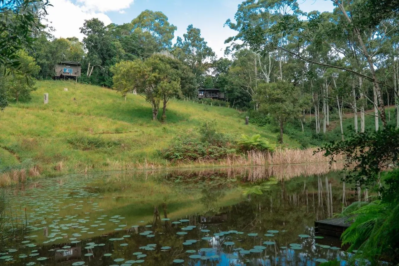 Lodge Whispering Valley Cottage Retreat Maleny