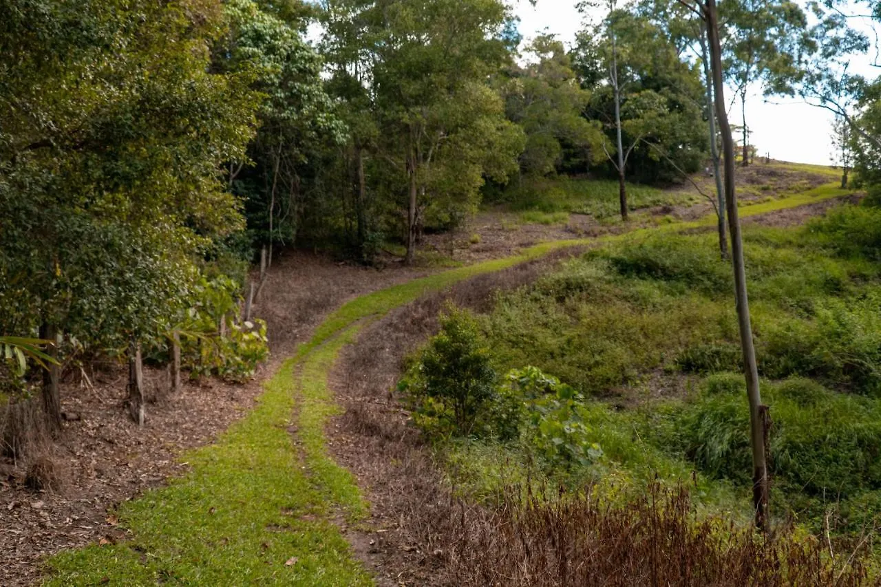 Alojamento de Turismo Selvagem Whispering Valley Cottage Retreat Maleny