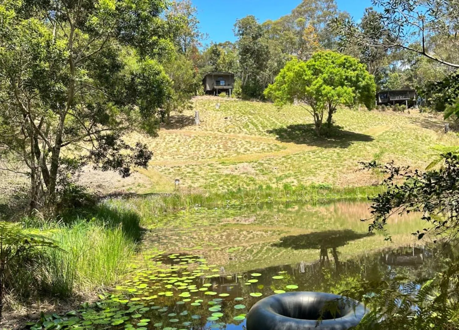 Whispering Valley Cottage Retreat Maleny Alojamento de Turismo Selvagem