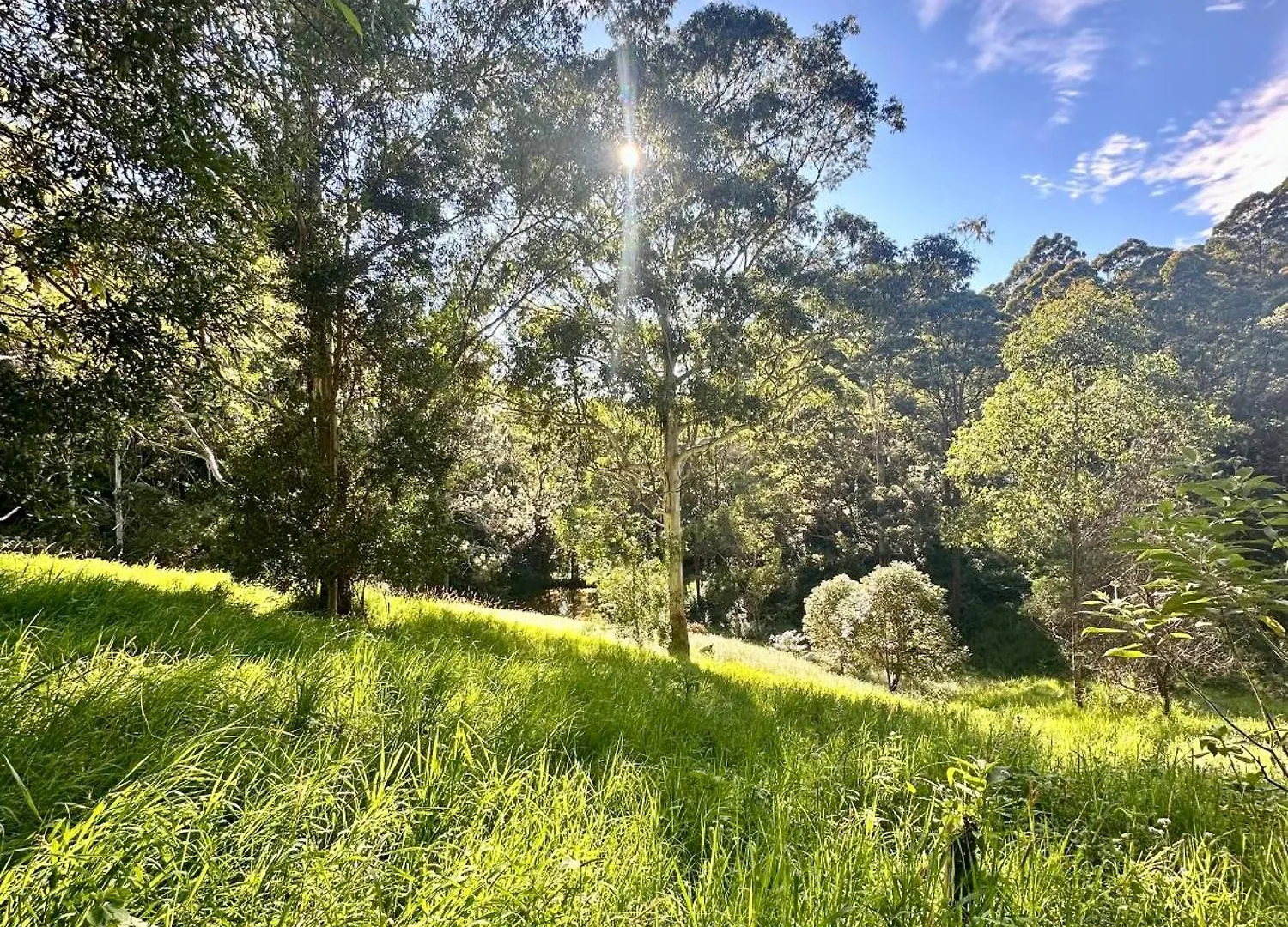 Alojamento de Turismo Selvagem Whispering Valley Cottage Retreat Maleny Austrália