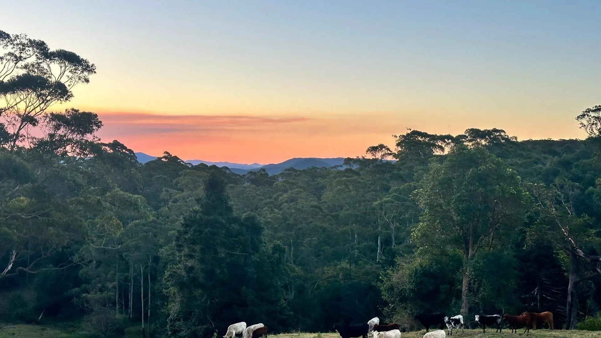 Whispering Valley Cottage Retreat Maleny Austrália