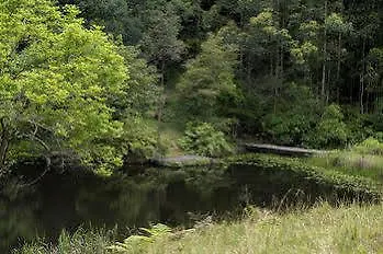 Alojamento de Turismo Selvagem Whispering Valley Cottage Retreat Maleny Austrália