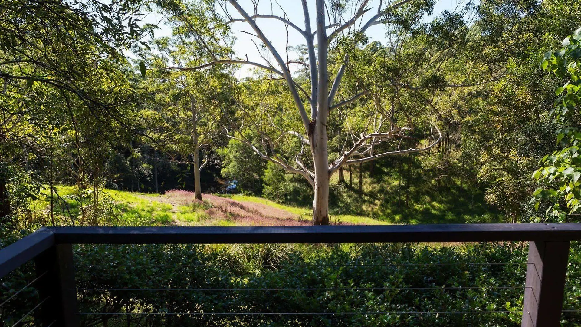 Whispering Valley Cottage Retreat Maleny Alojamento de Turismo Selvagem